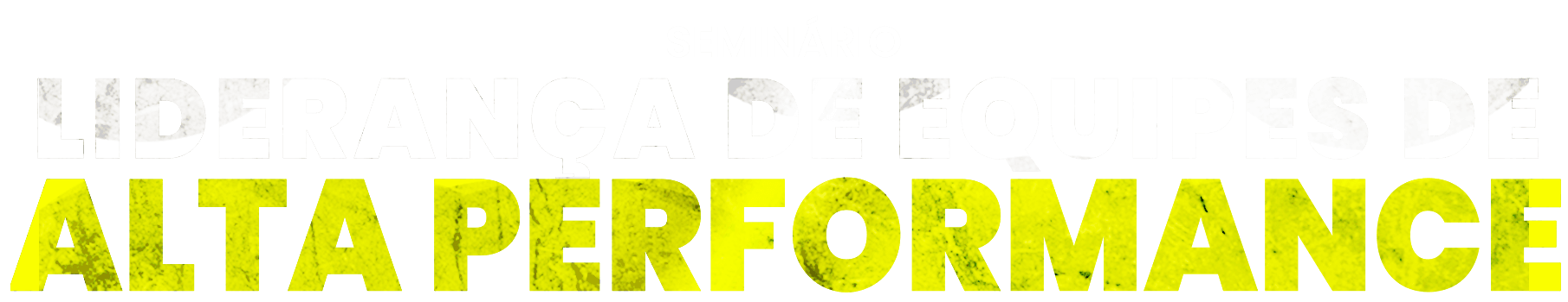 Liderança de Equipes de Alta Performace